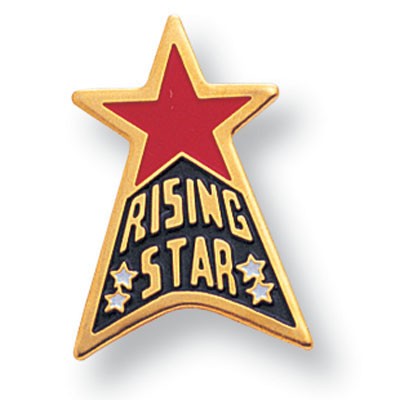 Etched Enameled School Rising Star Pin