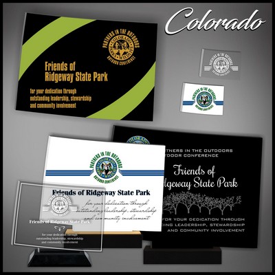 11" Colorado Black Budget Acrylic Award