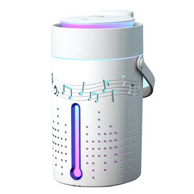 Cool Mist Facial Face Humidifier w/Wireless Speaker