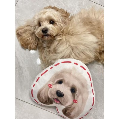 15'' to 20" Custom Pet Dog Pillow with Photo Personalized Photo Shaped Dog Cat Face Pillow