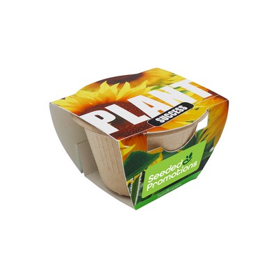 Paper Cup Planting Kit - Plant Success