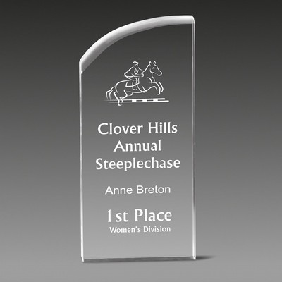VAE Award™ w/Smooth Curved Accent (3½"x8"x1")