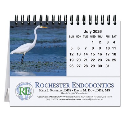 Bird Watching Tent Desk Calendar (5 13/16"x4½")