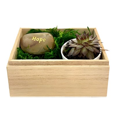 Hope Succulent Gift Box