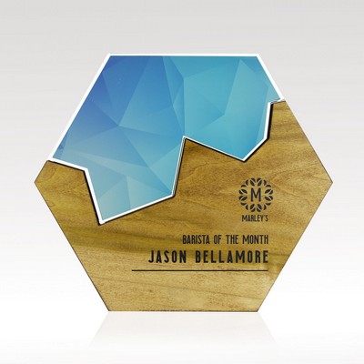 Large Hexagon Edge Puzzle Award