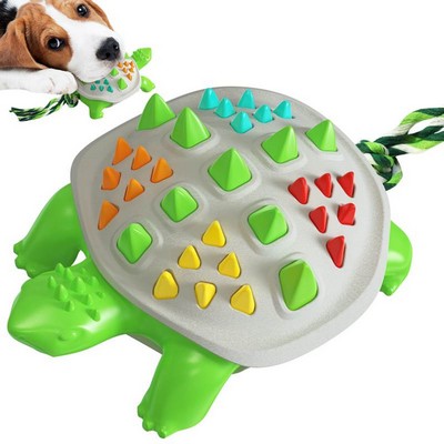 Colorful Tortoise for Dog