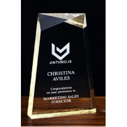 Lucite Lexus Award (7½''x4¾'')