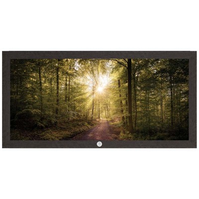 "Sunlight Through Trees" Art Print W/ Silver Medallion