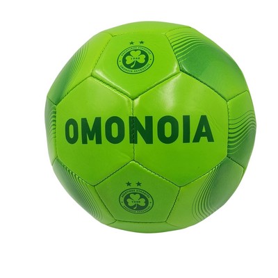 Custom PVC Size 5 Soccer Ball