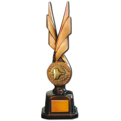 Stock Phoenix 14" Trophy with 2" Weightlifting Coin and Engraving Plate