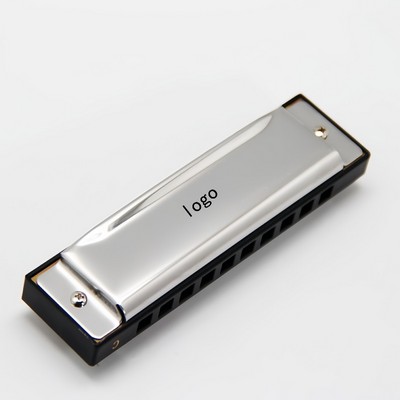 10 Hole Diatonic Harmonica for Beginners in Black Plastic Case