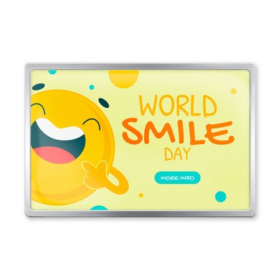Printed Dome Rectangle Lapel Pins - Stock Shapes