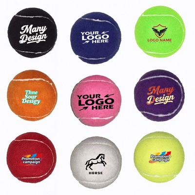 Full Color Dog Toy Ball