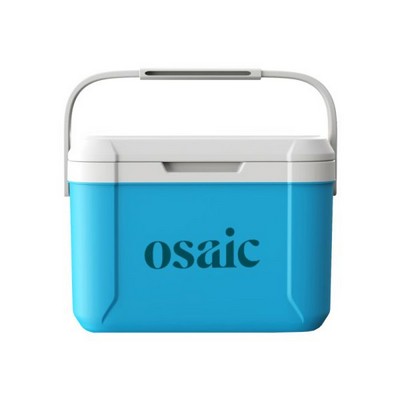 5.5L Portable Insulated Cooler Box