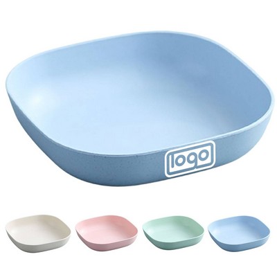 Plastic Dinner Plate