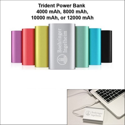 12000 mAh Trident Power Bank