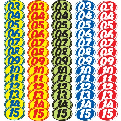White & Blue Bold Year Model Decals (Set of 12)