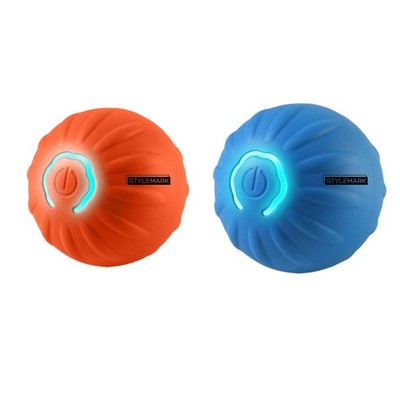 Interactive Dog Toys