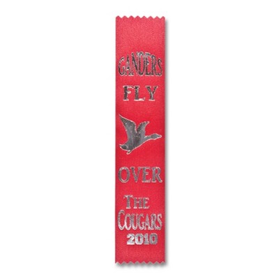 2"x 10" Custom Premium Grade Spirit Ribbon