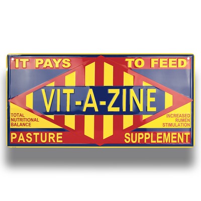 Large Custom Embossed Metal Parking Sign (12"x24")