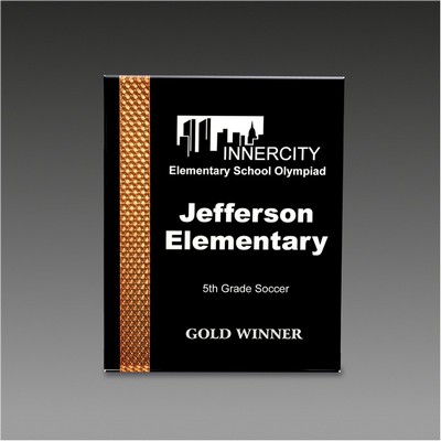 8" x 10" Prismatic Plaque™