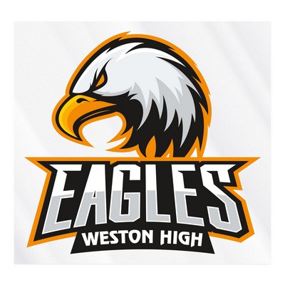 Full Color Digital Sticker | Custom | Sq Corner | Clear Poly | Ultra Remov Adh Back | 176-210 Sq In