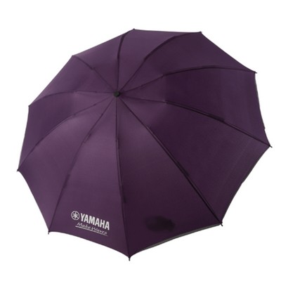 Custom Branded Umbrella with 10 Frame
