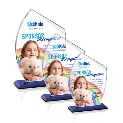 Winston VividPrint™ Award