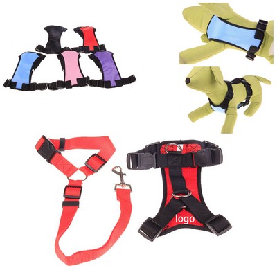 Pet Collar Set