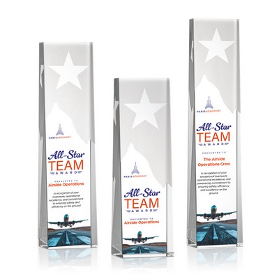 Artemus Star VividPrint™ Award