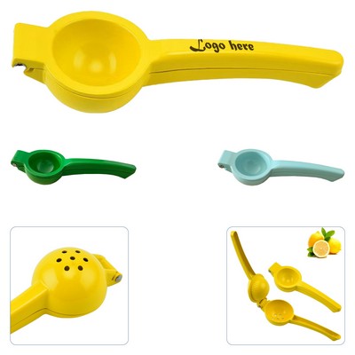 Fruit Juicer