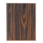 Walnut Finish Recognition Plaque w/Brass Plate (8"x 10")