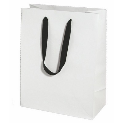 10 x 5 x 13 Twill Handle Bags 100/ctn