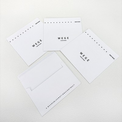 Tear Off Business Envelopes W/Insert Standard Envelopes for Office Checks, Letter Mailing Invoices