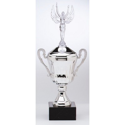 Silver Metal Trophy Cup on Marble Base