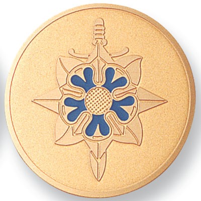 2" Military Intelligence Etched Enameled Medallion Insert Disc