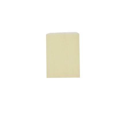 Tinted Paper Merchandise Bag (8½"x11")