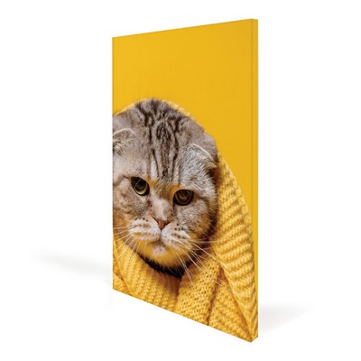 20x24 in. Canvas Frame (Graphic Package)