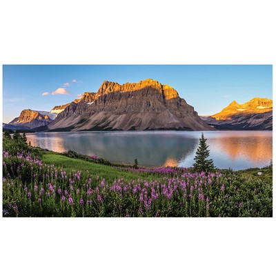 Laminated Wall Calendars