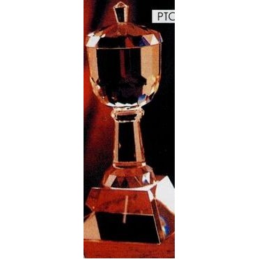 Crystal Series 5 1/2"x8" Crystal Dome Award w/ Globe