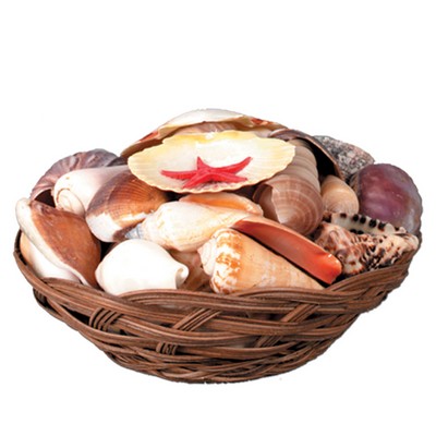 Shell Basket