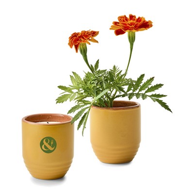 Modern Sprout® Garden Vibes Candle/Planter - Last Light-Marigold