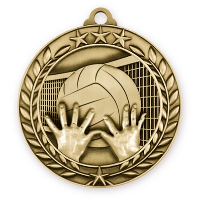 3D Sports & Academic Medal/Volleyball