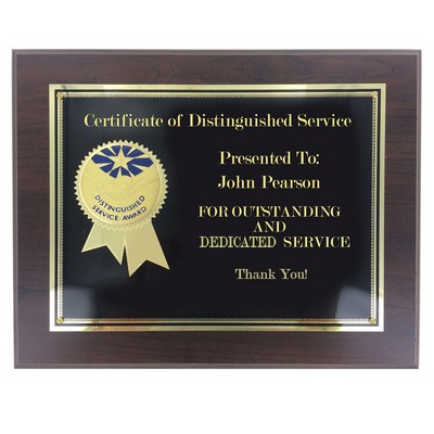 Distinguished Service Award Plaque w/Etched Brass Insert (8" x 10")