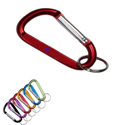 Medium Sized Carabiner Keyholder