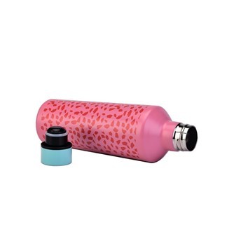 Cute Pink Stainless Steel Water Bottle