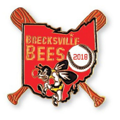 1 ¾" Promotional Soft Enamel Team Trading Pin