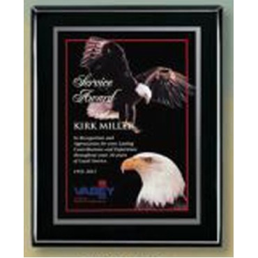 Ebony Piano Finish Plaque (7"x9")