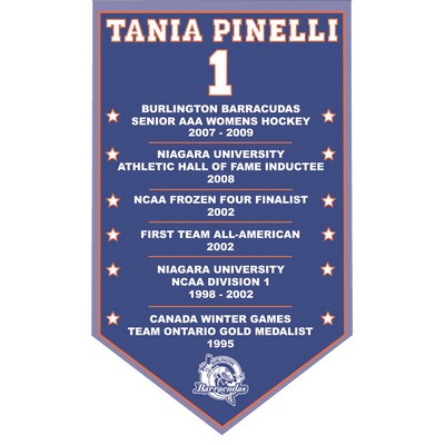 2' x 4' Championship Banner